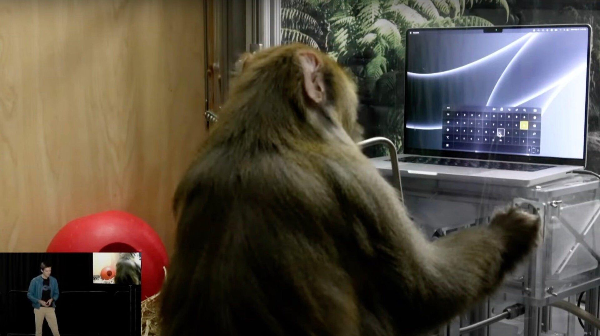 Brain-Computer Interface