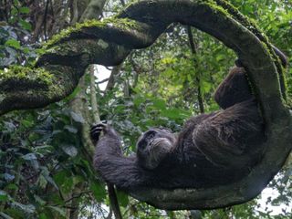 thumbnail - Photography Awards