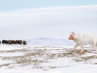 Image - Photography Awards