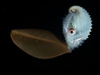 Image - Photography Awards