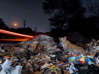 Image - Photography Awards