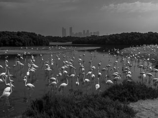 Image - Photography Awards