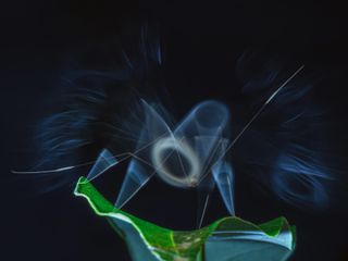 Image - Photography Awards