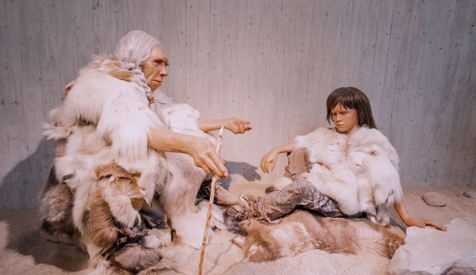 Neanderthal Cannibalism