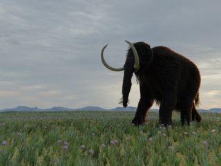 thumbnail - Woolly Mammoth