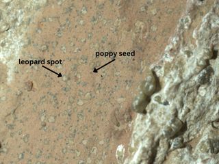 Image - NASA Discoveries