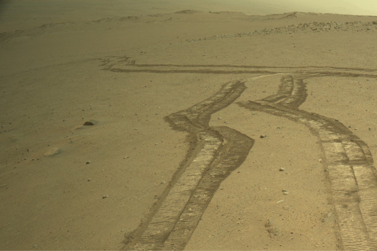 Organic Molecules Mars