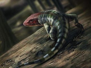 thumbnail - Tetrapod Evolution