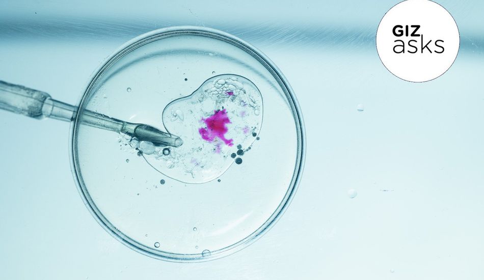 Gene Editing Ethics