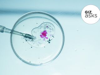 thumbnail - Gene Editing Ethics