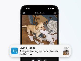 thumbnail - Ring AI Alerts
