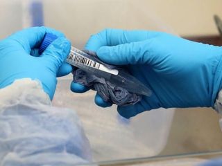 thumbnail - FDA AI Tool