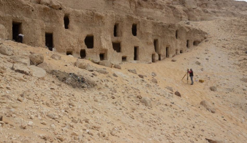 Ancient Genome