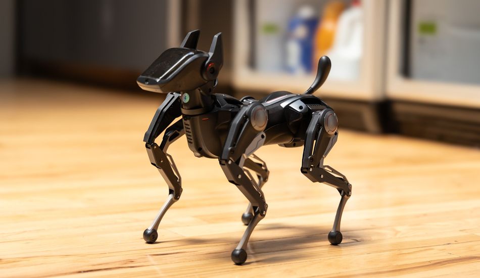 Robot Dog