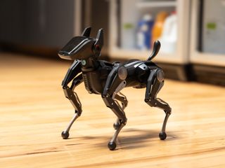 thumbnail - Robot Dog