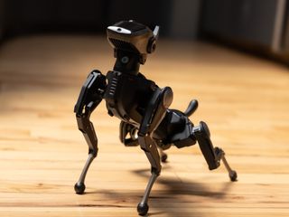 Image - Robot Dog